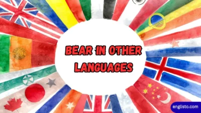 Bear in Other Languages