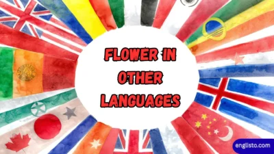Flower in Other Languages
