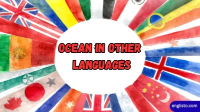 Ocean in Other Languages