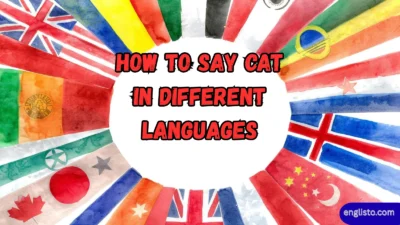 How to Say Cat in Different Languages