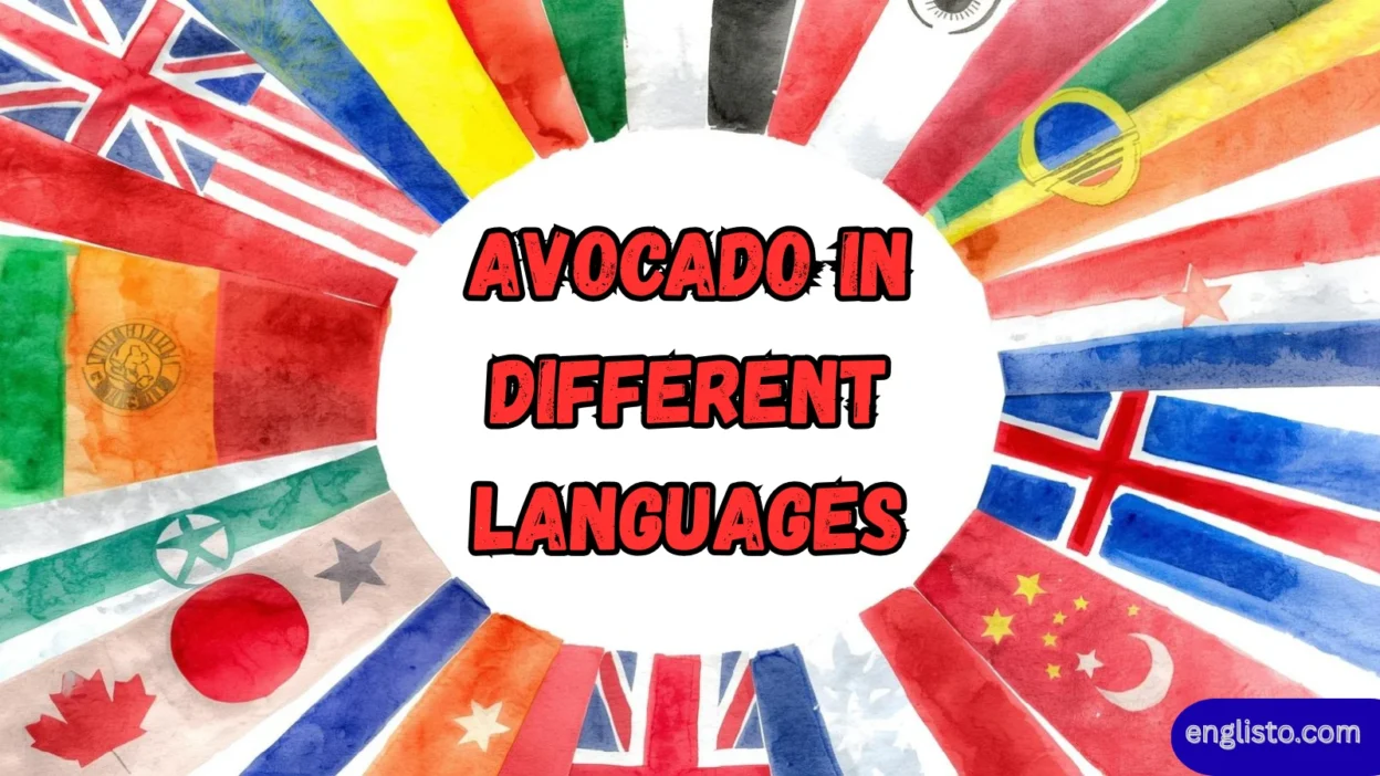 Avocado in  Different Languages