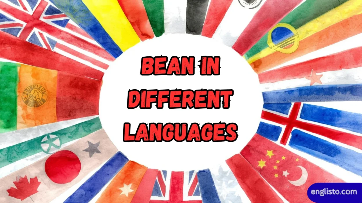 Bean in Different Languages